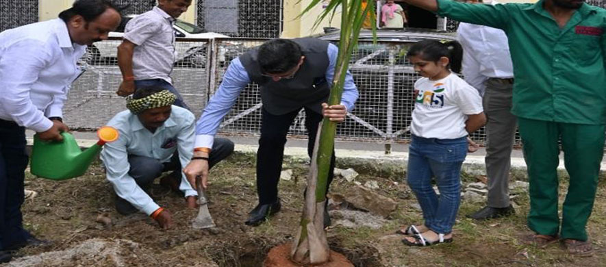 Plantation Drive on Independence Day